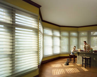 Gator Blinds - Blinds, Orlando, window treatments, window blind treatments, window blinds, blinds